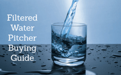 Best Water Filter Pitcher 2025: Reviews and Buying Guide
