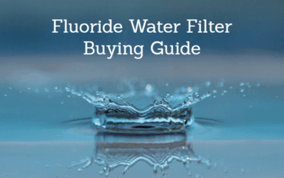 Best Fluoride Water Filter 2025: Reviews and Buying Guide