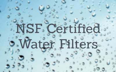 Best NSF Certified Water Filter [2024]: Reviews & Guide