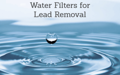 Best Water Filter for Lead Removal 2025: Reviews and Buying Guide