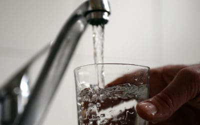 Is Chicago Tap Water Safe to Drink?