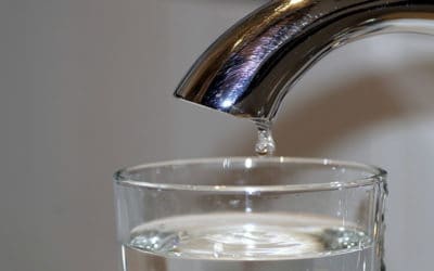 Is Los Angeles Tap Water Safe to Drink? What to Know in 2025