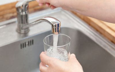 Is Phoenix Tap Water Safe to Drink? – Water Filter Data For 2025