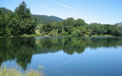 Is San Jose Tap Water Safe to Drink?