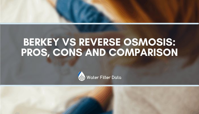 Berkey VS Reverse Osmosis: Pros, Cons and Comparison