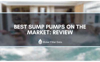 Best Sump Pumps On The Market: Review