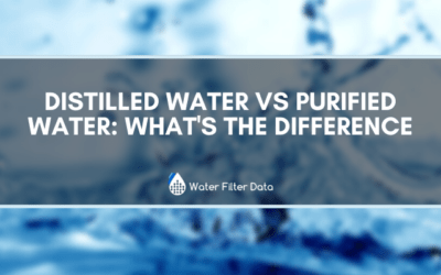 Distilled Water VS Purified Water: What’s The Difference
