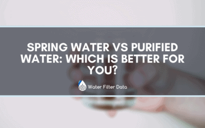 Spring Water VS Purified Water: Which is Better for You?