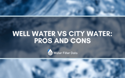 Well Water VS City Water: Pros and Cons