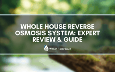 Whole House Reverse Osmosis System: Expert Review & Guide