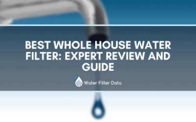 Best Whole House Water Filter: Expert Review And Guide